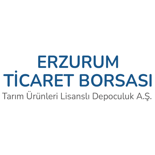 LİSANSLI DEPOCULUK